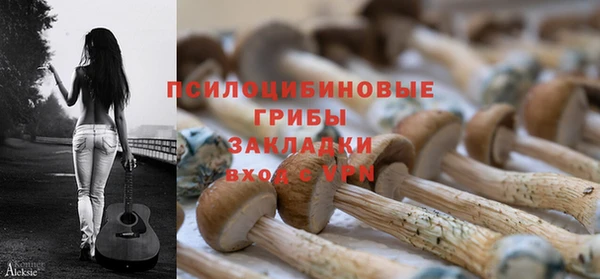 бутират Богданович
